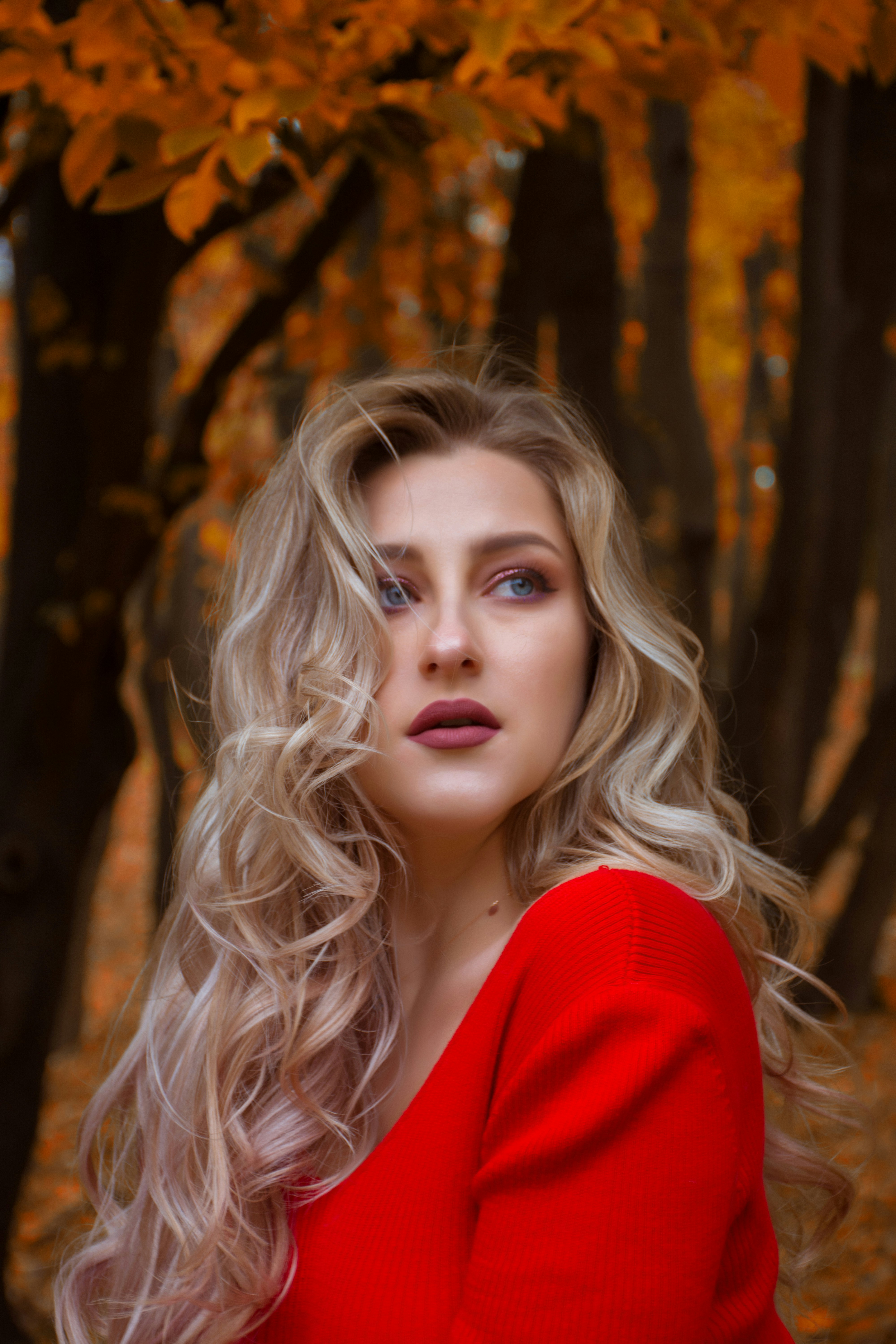 专题缩略图：夜间悬疑