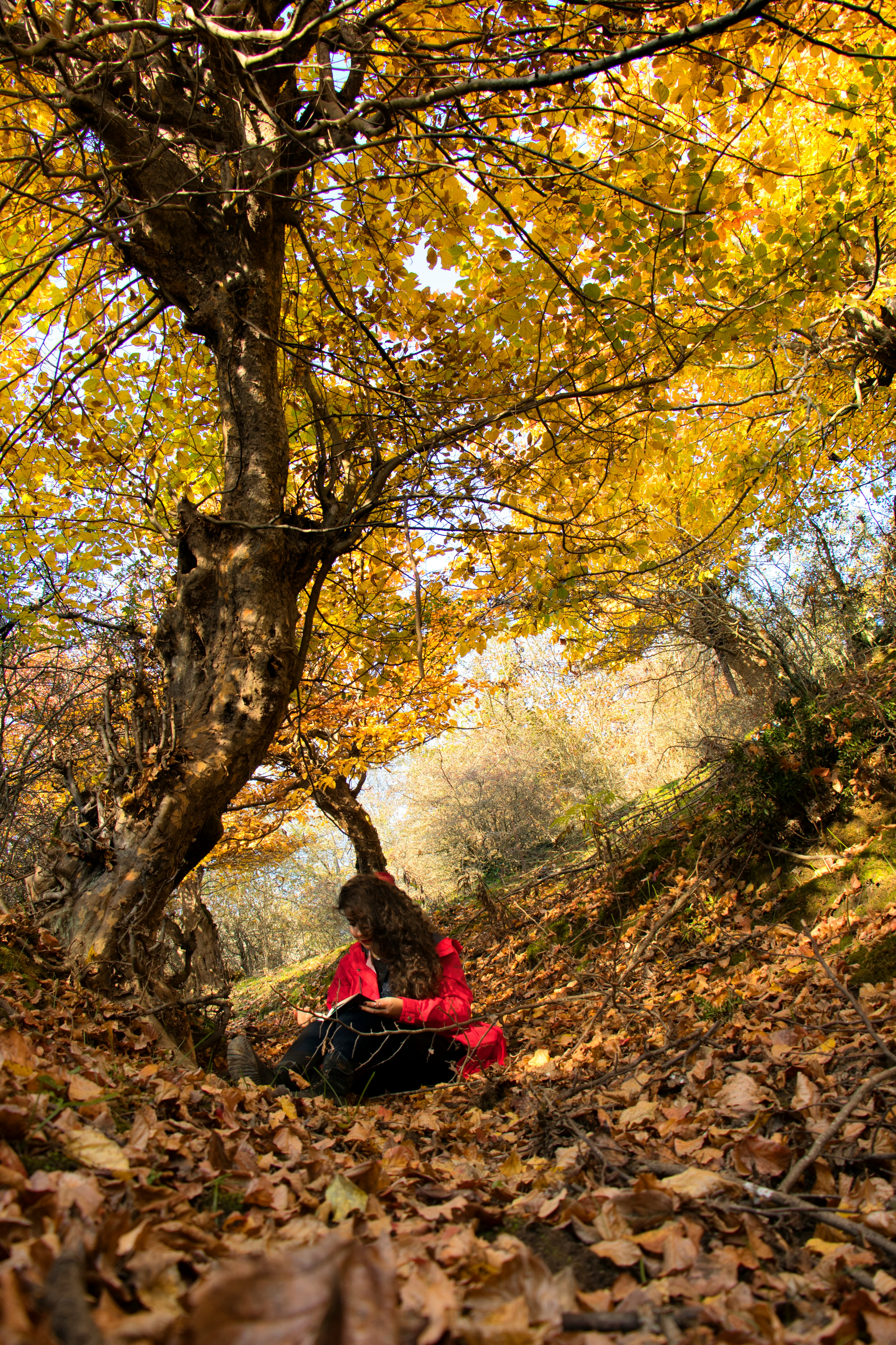 观点缩略图：高分推荐