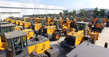 爱莱查尔斯在线电影天堂V.2026.02.15.407